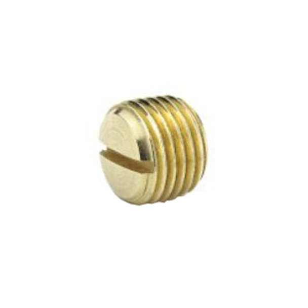Parker Pipe Fittings 220P Slotted Head Plug