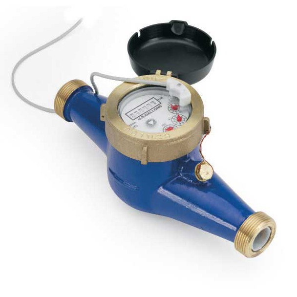 Seametrics Cold Water Pulse Meter MJR-100-1G-06