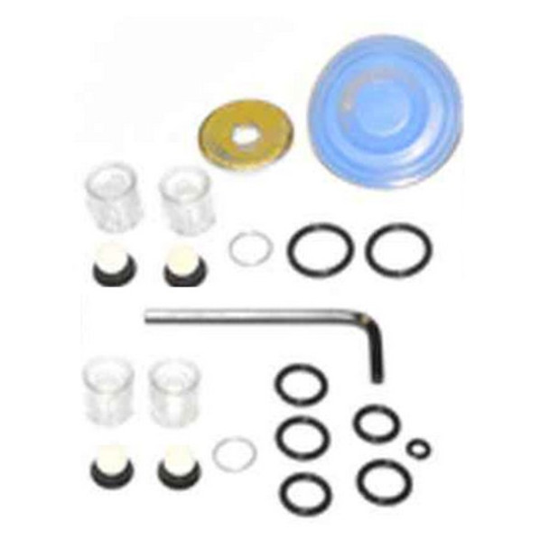 Walchem Pump Repair Kit