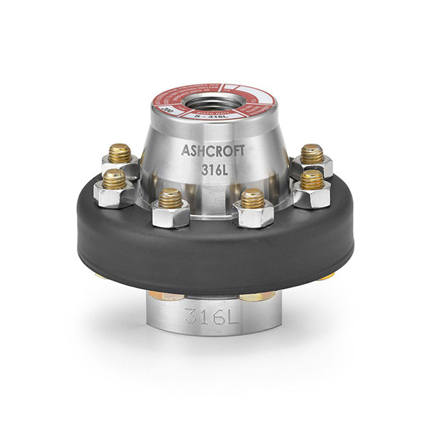 50201SS04TXDJH5 Ashcroft Model 201 Welded Diaphragm Seal