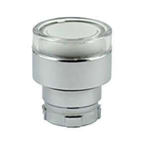 RB2-BW37 Shamrock Controls Flush Push Button, Spring Return, for Incandescent & LED Bulbs, Clear In Color