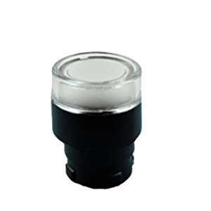 RB2-BW377 Shamrock Controls Flush Push Button, Spring Return, for Incandescent & LED Bulbs, Clear In Color