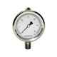 Stainless Steel Gauges