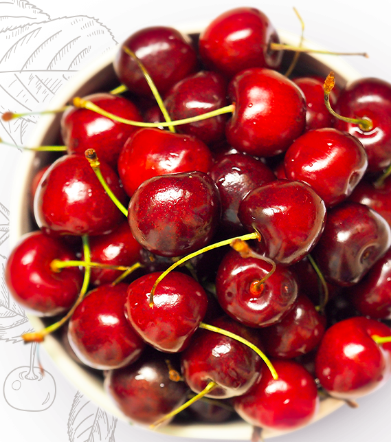 Cherry Flavor Panettone