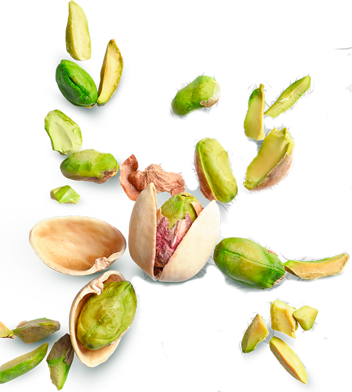 Pistacchio Flavored Panettone