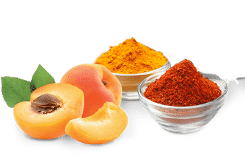 Apricot and Spice Flavored Panettone