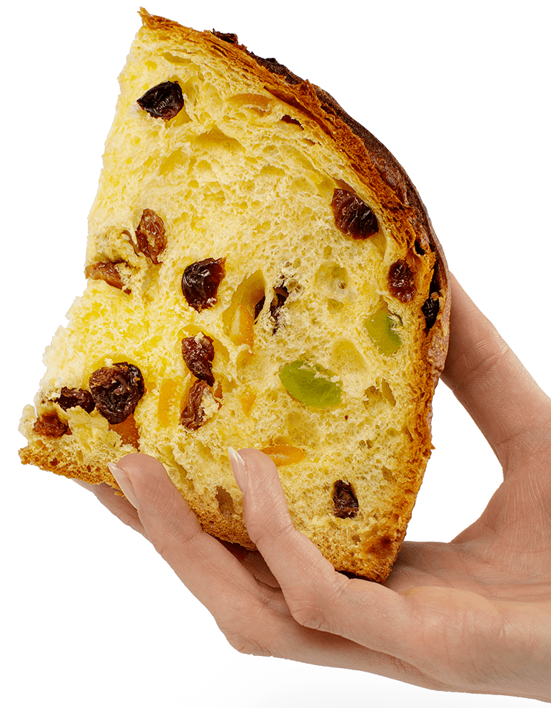 Pandoro or Panettone