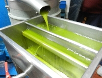 Olio Nuovo