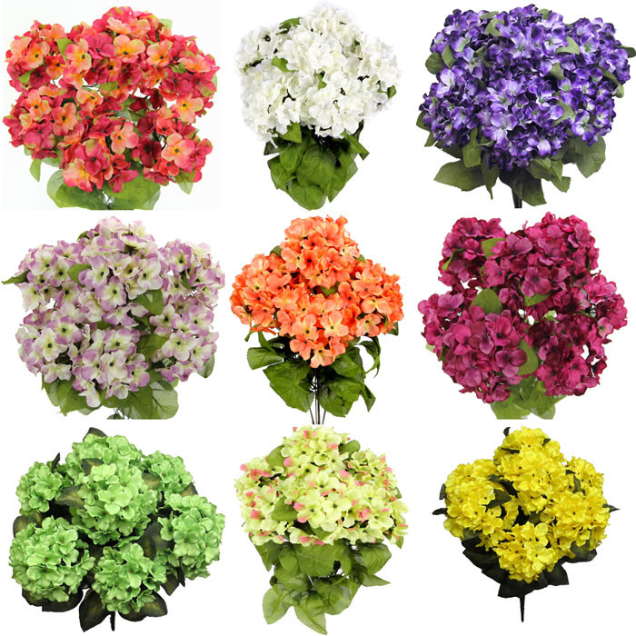 Bright Large Hydrangea Bushes 10 Pc