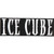 Ice Cube Name Logo Iron On Embroidered Patch