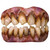 Bitemares Horror Zombie Costume Teeth