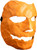 Trick Or Treat Studios Rob Zombie Halloween 2007 Michael Myers Asylum Mask