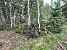 Kill Suit® 3D Woodland Digital, Mesh Lined KS001