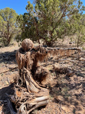 Kill Suit® 3D Strip Semi-Arid Terrain, Mesh Lined KS003 Kill Suit® 3D Strip Semi-Arid Terrain, Mesh Lined KS003