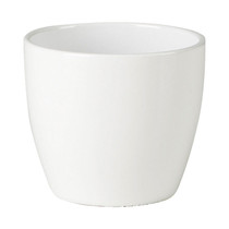 Indoor Alaska White Mini Pot 2.75"