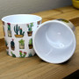 Indoor Garden Cactus Mini Pot 870-07