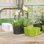 Indoor Mini Trilogy Ceramic Pot 5"