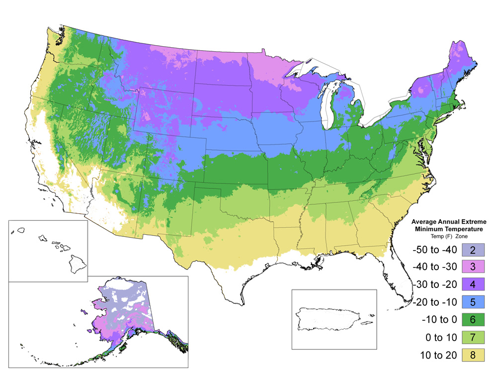 US Plant Hardiness Zones