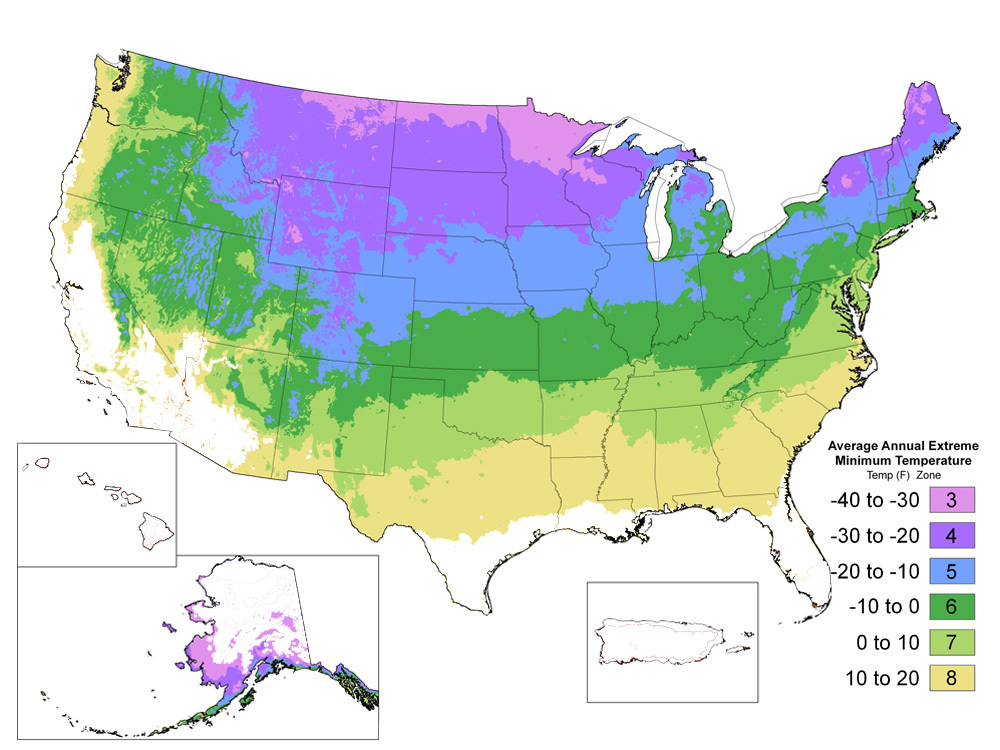 US Plant Hardiness Zones