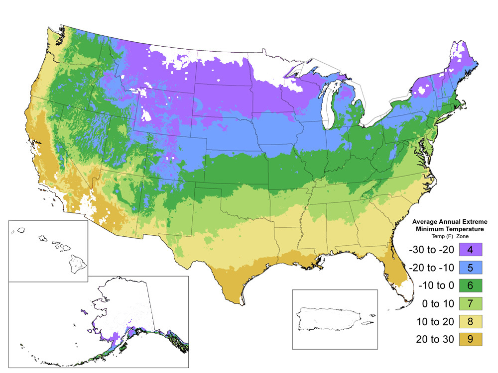 US Plant Hardiness Zones