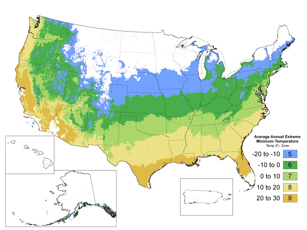 US Plant Hardiness Zones
