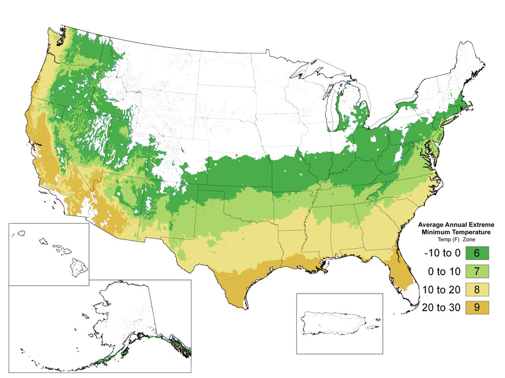 US Plant Hardiness Zones