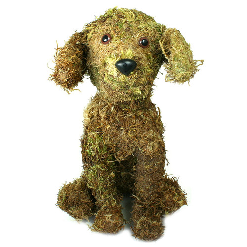 Moss Puppy Topiary for Sale