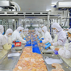 Contamination Control