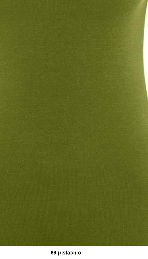 Engel Organic Wool/Silk Women's Long Sleeved Shirt 
Color: 69 pistachio