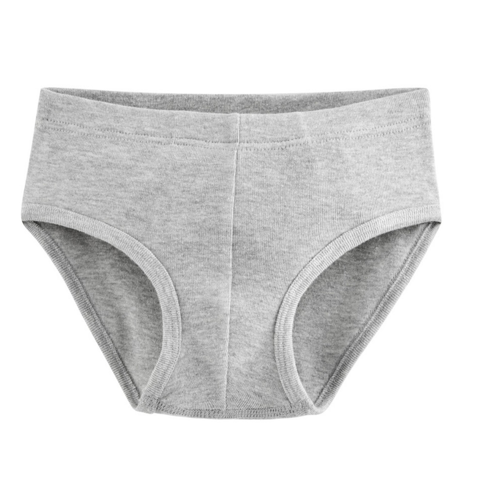 Organic Cotton Boy's Briefs_