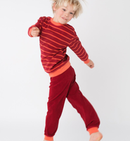 Organic Cotton Terry Shirt and Pants Set
