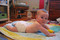 6-month-old Wearing Size 74/80 (6-12 mo)