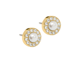 Gold Titanium Brilliance Halo White Pearl Stud Earrings - 6mm Gold Titanium Brilliance Halo White Pearl Stud Earrings - 6mm