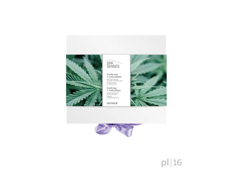 Purifying & Antioxidant Kit