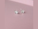 Crystal Star Stud Earrings - 6mm Crystal Star Stud Earrings - 6mm