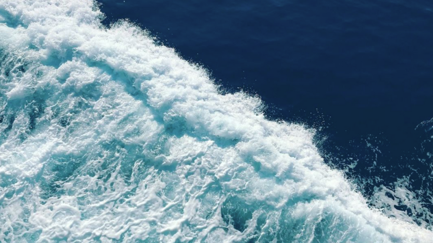 Why Everyone’s Talking About Marine Beauty