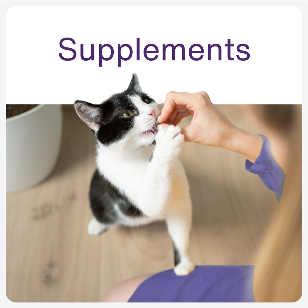 Homepage - Square - Supplements 
