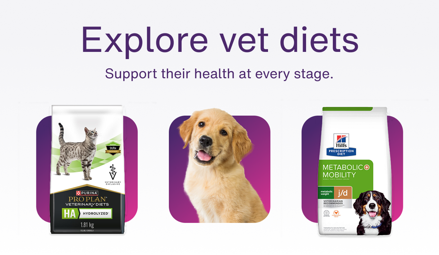 Homepage - Campaign - explore vet diets