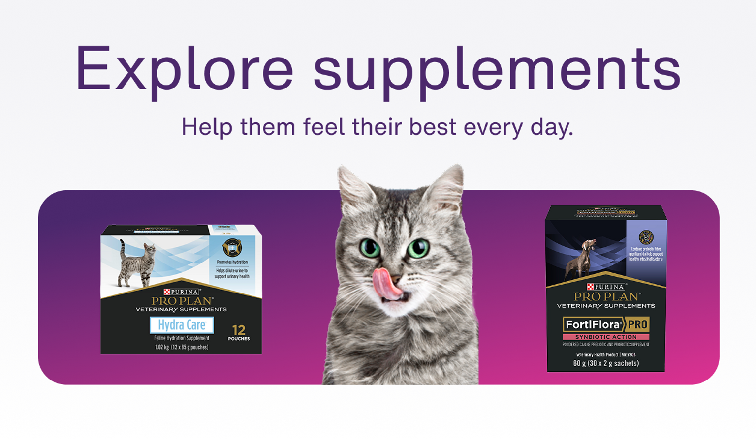 Homepage - Campaign - explore supplements