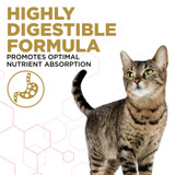 Veterinary Diets® essentialcare® Adult Formula, Dry Cat Food