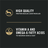 Development Chicken & Rice Formula, Dry Puppy Food