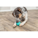Ball Toy Denta Fun for Dogs