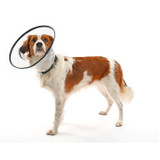 Buster Comfort E-Collar