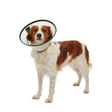 Buster Quick E-Collar