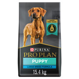 Development Large Breed Chicken & Rice Formula Dry Puppy Food