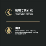 Development Large Breed Chicken & Rice Formula Dry Puppy Food