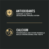 Development Large Breed Chicken & Rice Formula Dry Puppy Food