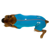 Recovery Suit for Males - Aqua