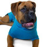 Recovery Suit for Males - Aqua