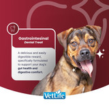 VetLife Gastrointestinal Mini Treat